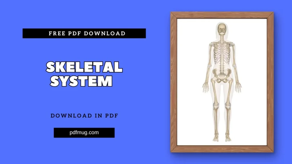 Skeletal System PDF Free Download