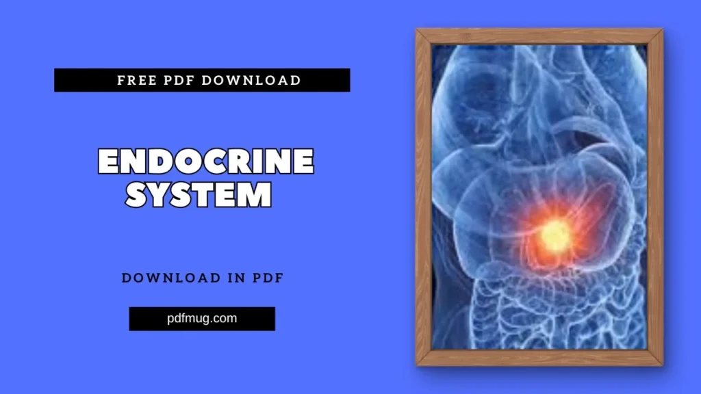 Endocrine System PDF Free Download